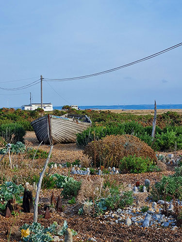 Dungeness landscape, an abandoned boat surrounded by plants, coastline visible in the background