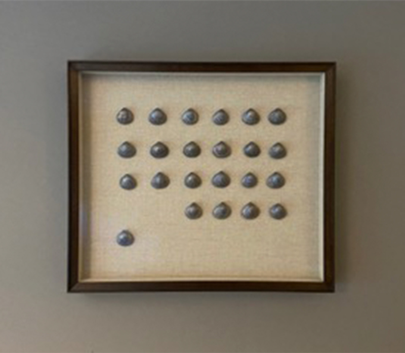 A series of 23 hand cast cockles in Victorian lead, presented in a wall mounted case
