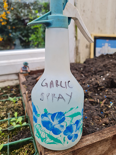 plastic spray bottle marked 'GARLIC SPRAY'