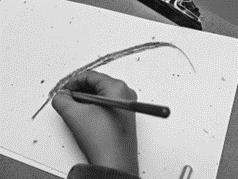 black and white photo of a hand with a pencil drawing a thin and elongated leaf