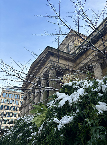 View of the front of the gallery with snow on the tops of the plants in the foreground and bare trees